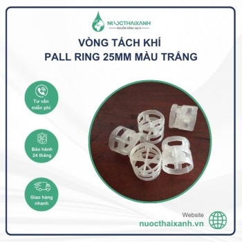 Vòng tách khí Pall Ring 25mm