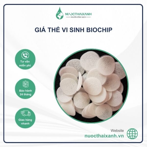 Giá thể vi sinh Biochip